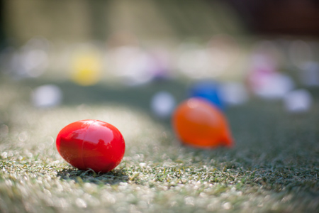 마포구·서대문구 합정동 BLIS 이중언어 몰입 교육 수업 장면